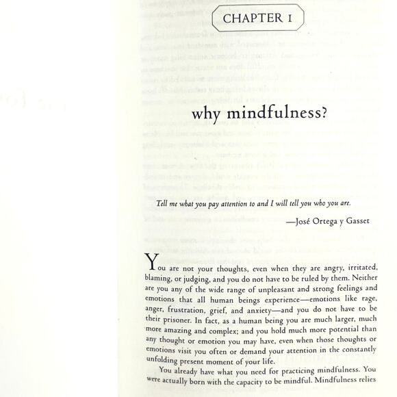 Calming Your Angry Mind: How Mindfulness & Compassion Can Free You from Anger - Picture 6 of 7